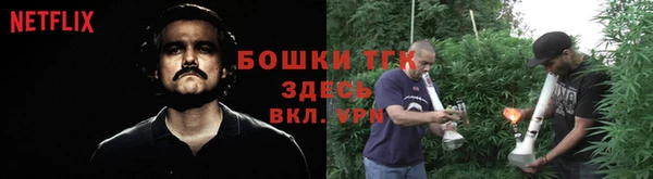 PSILOCYBIN Алексеевка