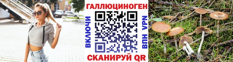 blacksprut   Миллерово  Псилоцибиновые грибы Cubensis 